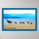 Search for patrol posters Wildlife
