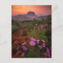 Search for parkland postcards Mountain range