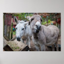 Search for funny donkey posters Farm