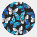 Search for moth round stickers Blue