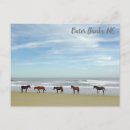 Search for corolla postcards North carolina