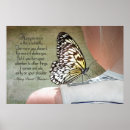 Search for beautiful butterflies posters Macro