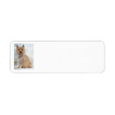 Search for cairn terrier return address labels Animal