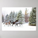 Search for dash art Horses