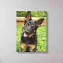Search for profiling art Pet