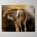 Search for filly posters Equine