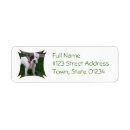 Search for boxer return address labels Dogs