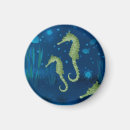 Search for under water magnets Sea