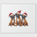 Search for boxer dog wrapping paper Funny