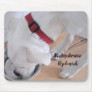 Search for healthy mouse mats Wellness