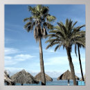 Search for beach view posters Palm trees