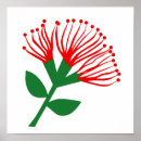 Search for native plants posters Bloom