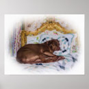 Search for funny lab posters Animals