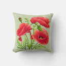 Search for mohn Papaver