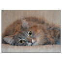 Search for cat chopping boards Persian