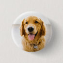 Search for retriever badges Cute
