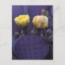 Search for bloom vertical postcards Yellow