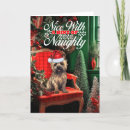 Search for cairn terrier christmas cards Pets