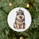 Search for alaskan malamute christmas tree decorations Pet