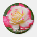 Search for double magnets Flower
