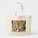 Search for cub accessories Cheetah