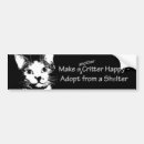 Search for adopt a pet bumper stickers Kitty