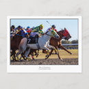 Search for horses postcards Florida