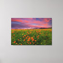 Search for snowcapped canvas prints Meadow