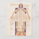 Search for school chart postcards 14th