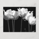 Search for tulip wedding invitations Party