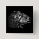 Search for black sheep badges Animal