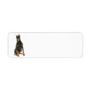Search for doberman return address labels Animal