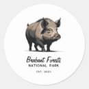 Search for national forest stickers Nature