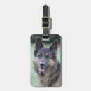 Search for loyalty photography Dogs