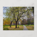 Search for orange square postcards Autumn