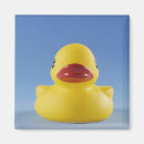 Search for rubber duck magnets Yellow