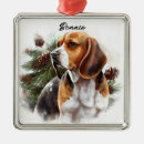 Search for beagle christmas tree decorations Watercolor