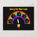 Search for rainbow pet supplies Sorry