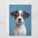 Search for russell invitations Jack russell terrier