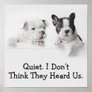 Search for peering Dog