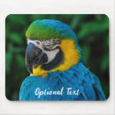 Search for wild birds mouse mats Colourful