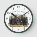 Search for black bear clocks Forest