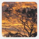 Search for world heritage site stickers Environment