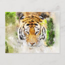 Search for tiger head postcards Jungle