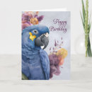 Search for avians cards Birds