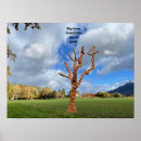 Search for acorns posters Nature