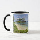 Search for coastal plain mugs Outdoor