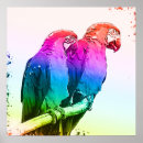 Search for colourful parrot posters Cute