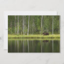 Search for boreal forest postcards Nature