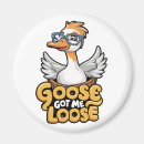 Search for honk if magnets Goose
